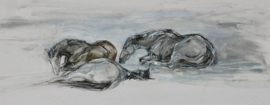 Sleeping
