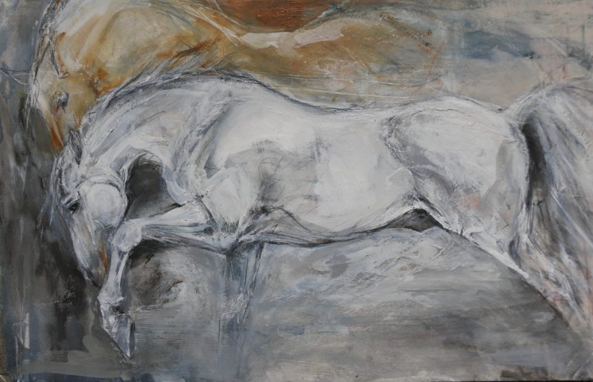 White horse with colour